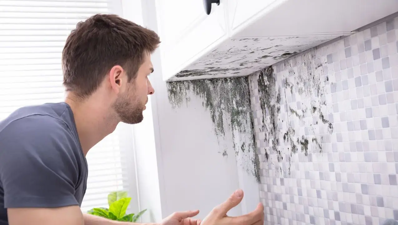 Un homme découvre de la moisissure sous un meuble de cuisine. Une VMC salle de bain norme est essentielle pour éviter ce problème.