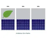 Trois panneaux solaires, un avec une feuille verte, indiquent 50% de charge. L'image illustre un onduleur de chaîne.