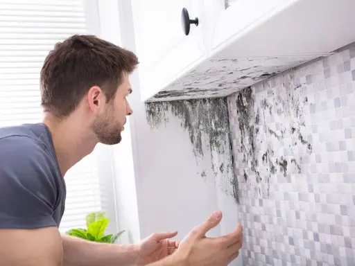 Un homme découvre de la moisissure sous un meuble de cuisine. Une VMC salle de bain norme est essentielle pour éviter ce problème.