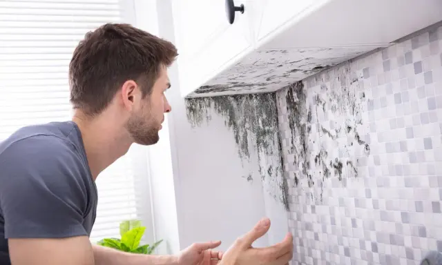 Un homme découvre de la moisissure sous un meuble de cuisine. Une VMC salle de bain norme est essentielle pour éviter ce problème.