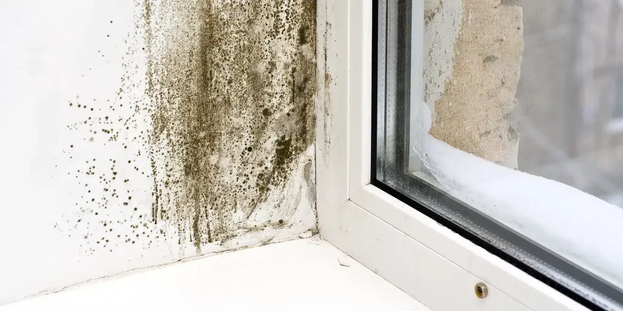 Moisissure noire sur un mur blanc près d'une fenêtre, signe de humidité maison. La condensation givrée sur le rebord de la fenêtre suggère un problème d'isolation.