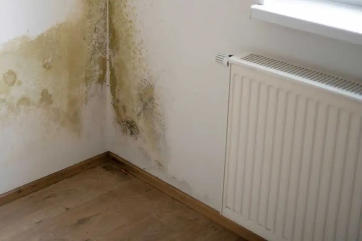 Moisissure sur un mur blanc pr&egrave;s d'un radiateur, un inconv&eacute;nient de la fibre de bois mal isol&eacute;e.